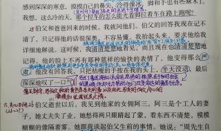 少年闰土课堂笔记 少年闰土课堂笔记